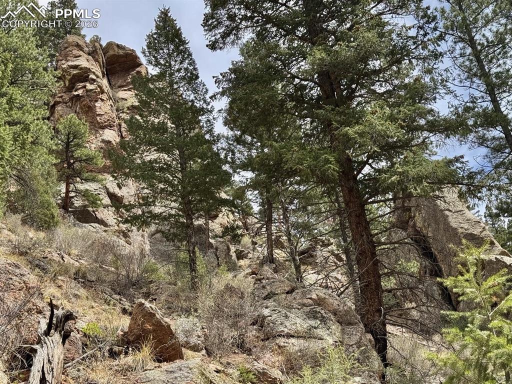 Caption: Natural rock formations complement established evergreen trees
