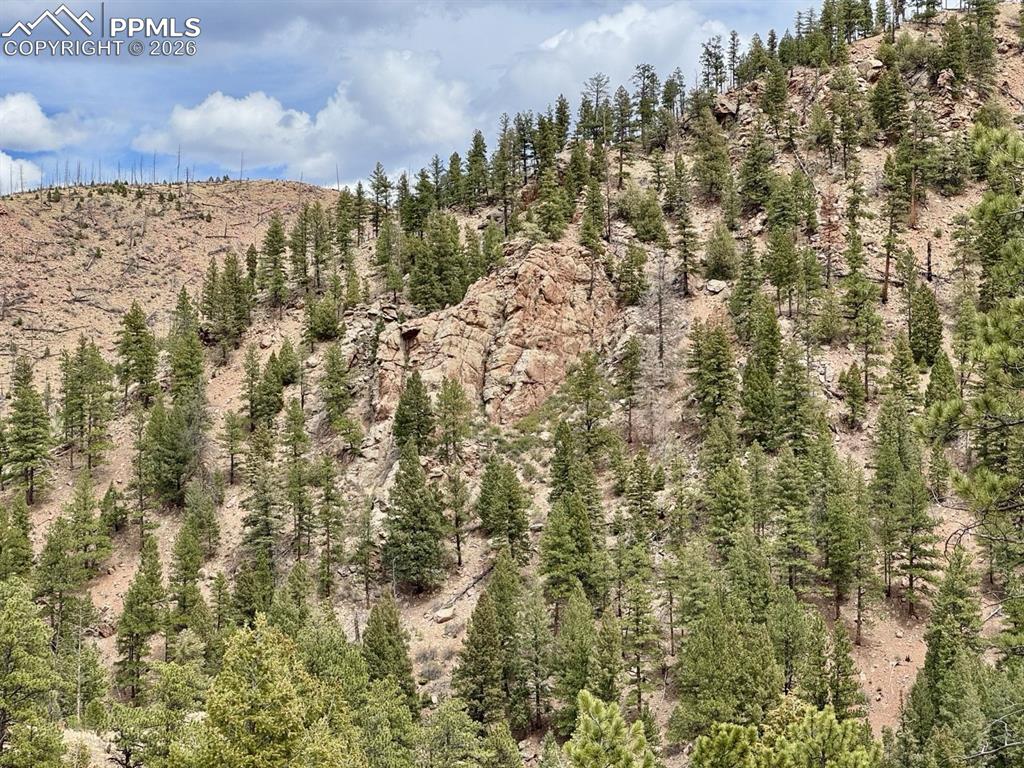 Image 2 of 8: Mountainous terrain featuring diverse tree coverage and exposed rock format