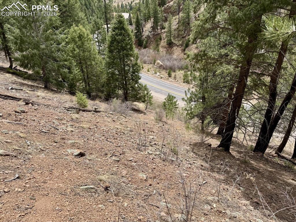 Image 6 of 8: Sloped terrain featuring a paved road, scattered evergreen trees, visible r