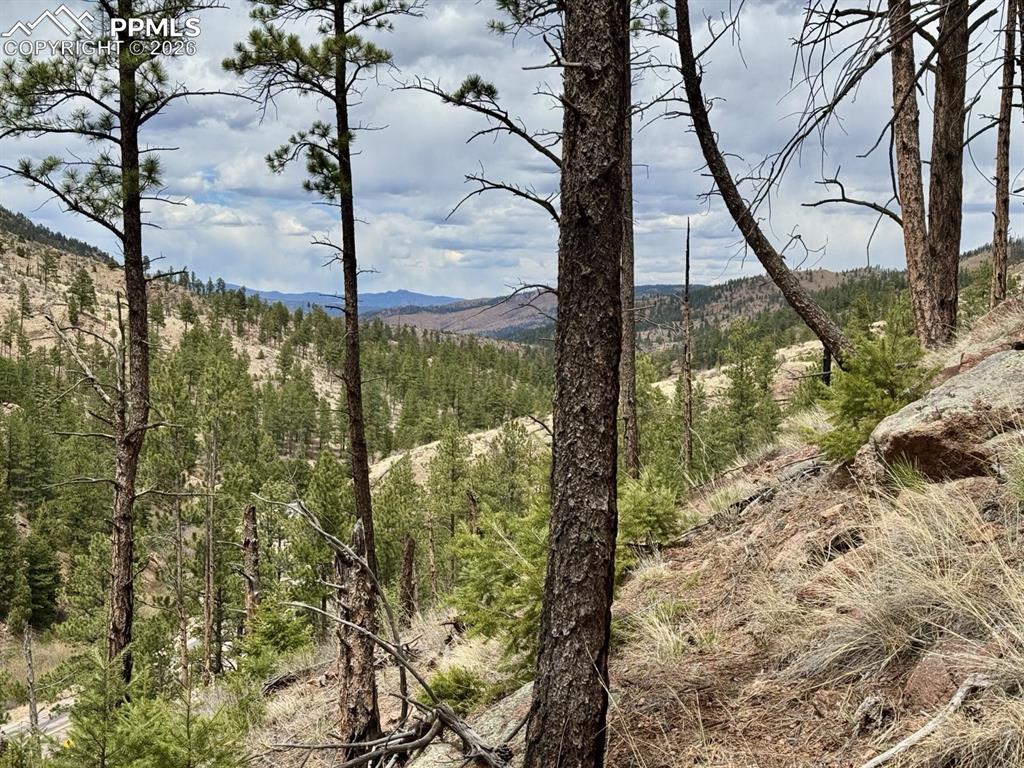Image 7 of 8: Expansive mountain terrain featuring diverse tree cover, visible rock forma