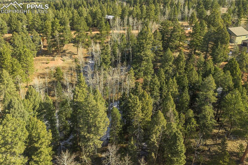 Image 10 of 14: Aerial View