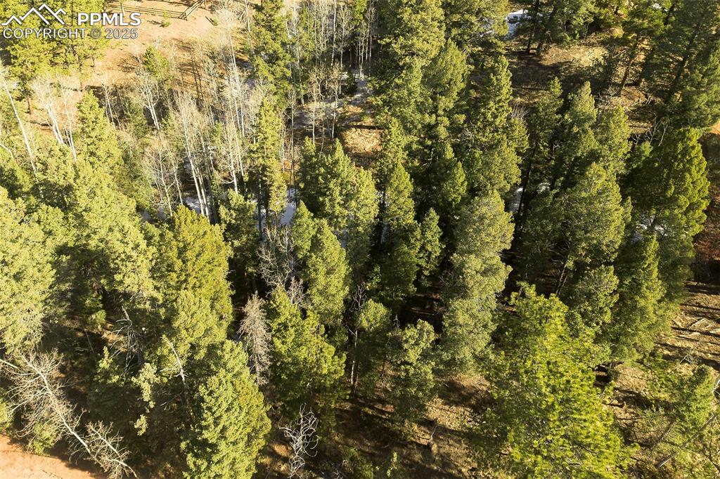 Image 13 of 14: Aerial View