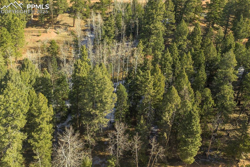 Image 14 of 14: Aerial View