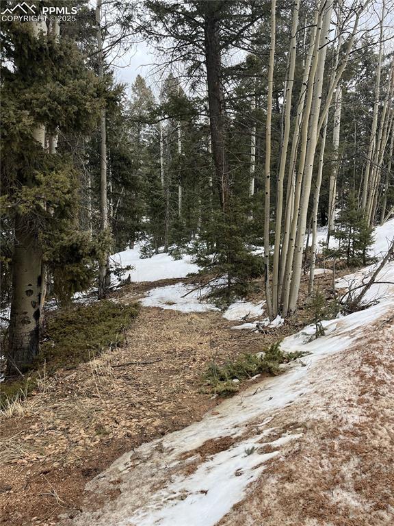 Image 2 of 14: Other