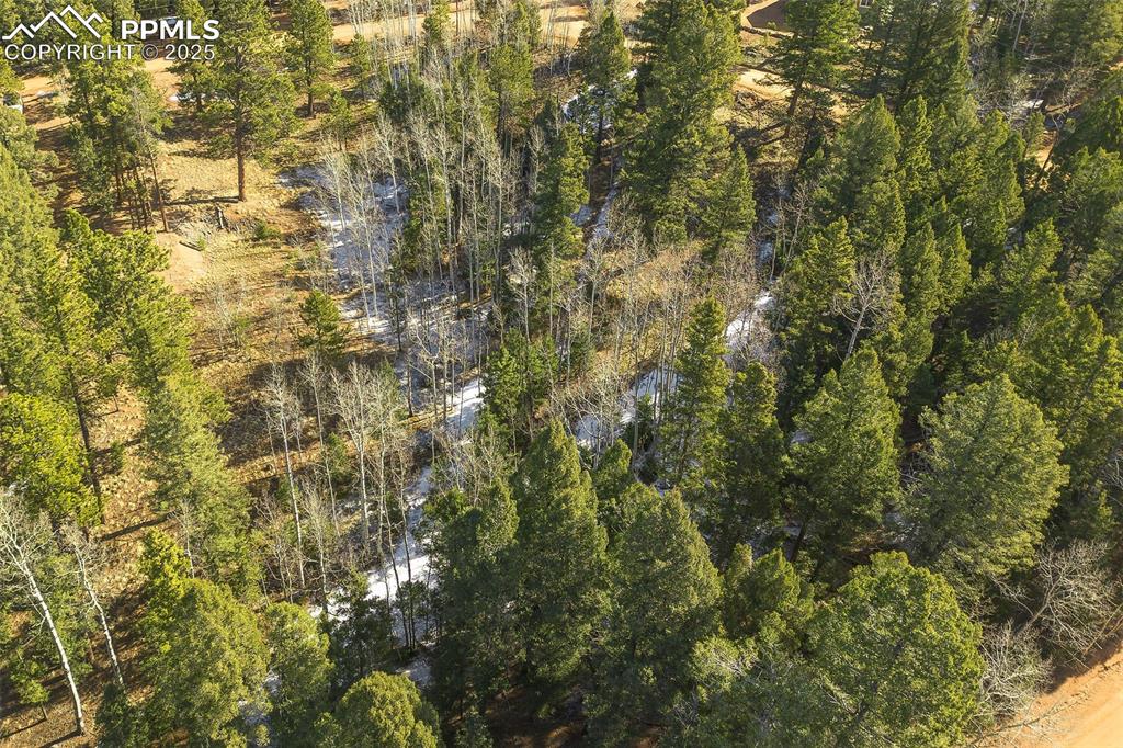 Image 4 of 14: Aerial View