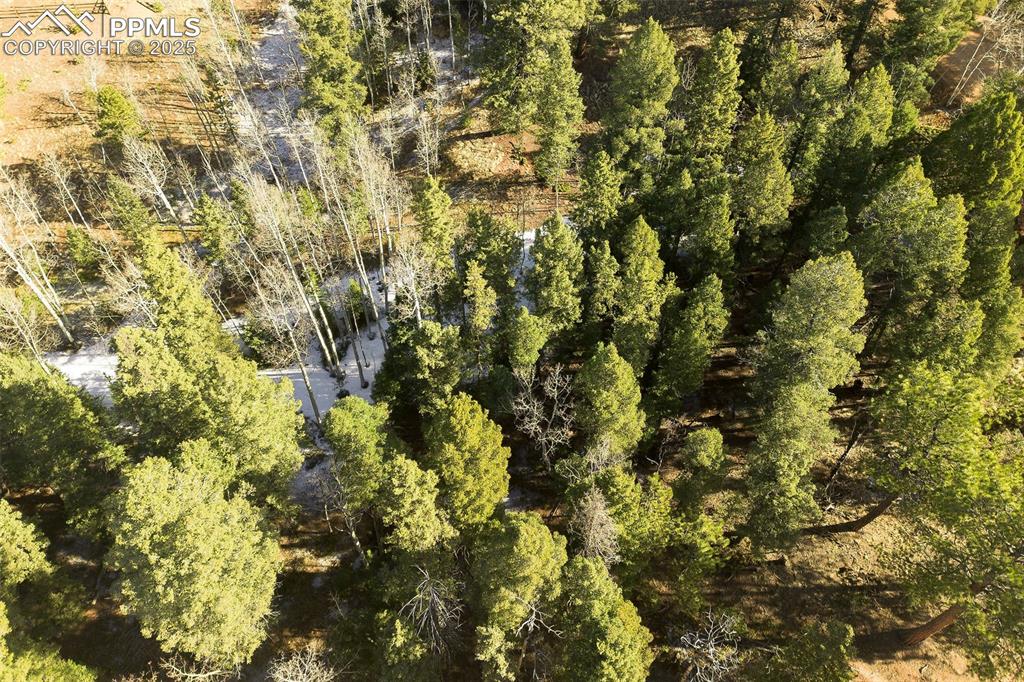 Image 5 of 14: Aerial View