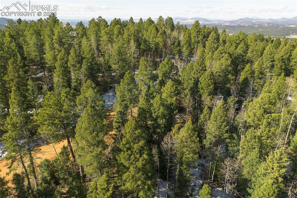 Image 6 of 14: Aerial View