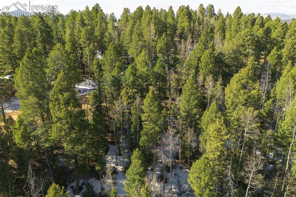 Image 7 of 14: Aerial View