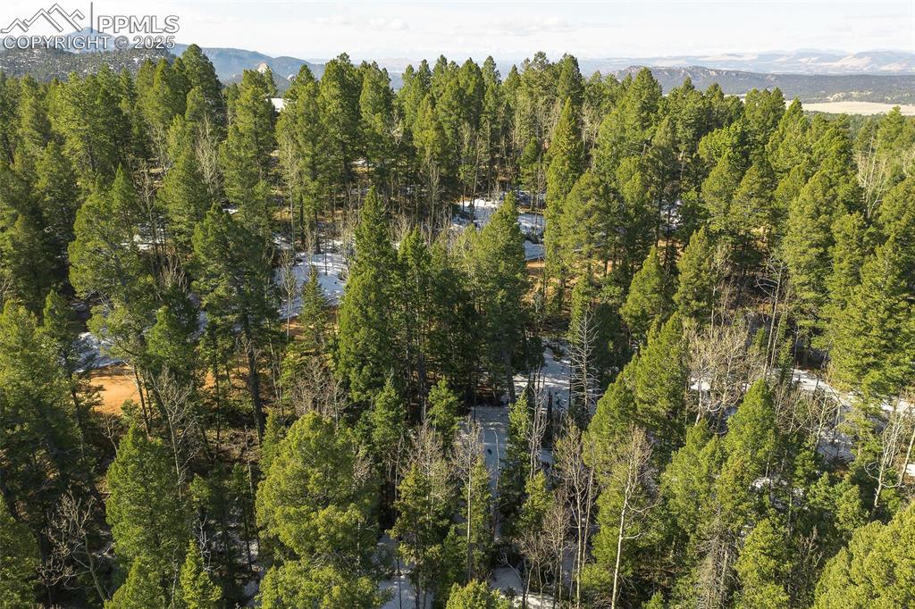 Image 8 of 14: Aerial View