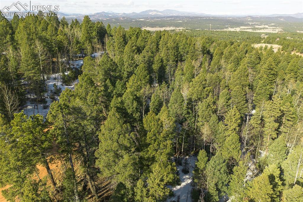 Image 9 of 14: Aerial View