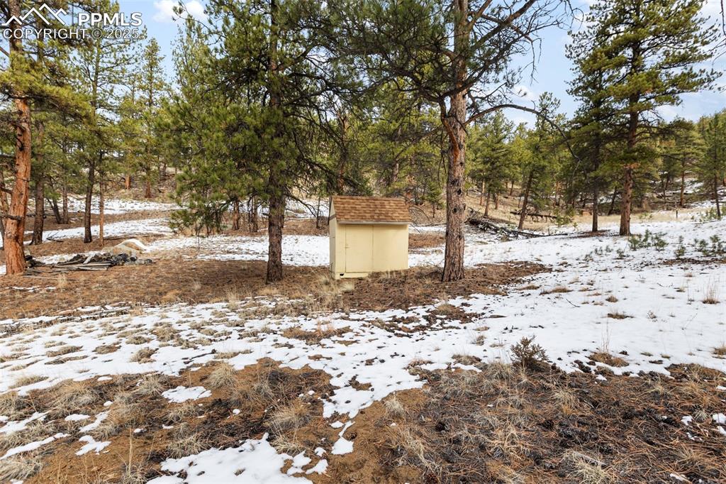 Image 16 of 46: Yard