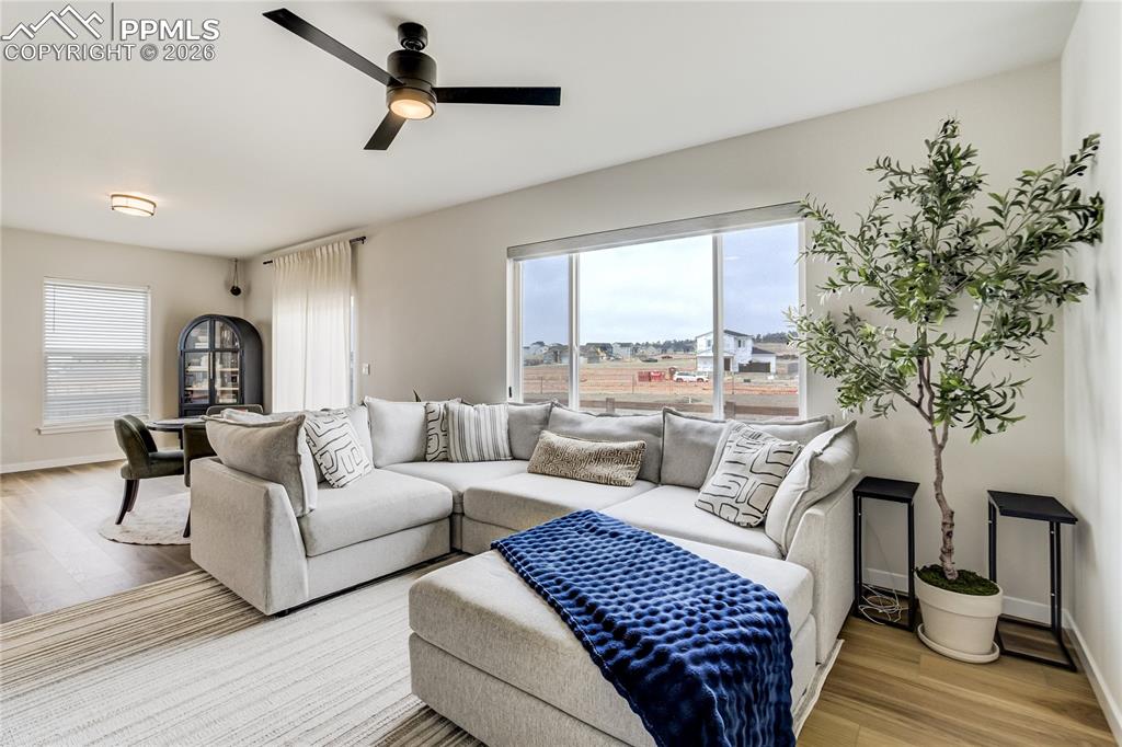 Image 5 of 35: Living Room