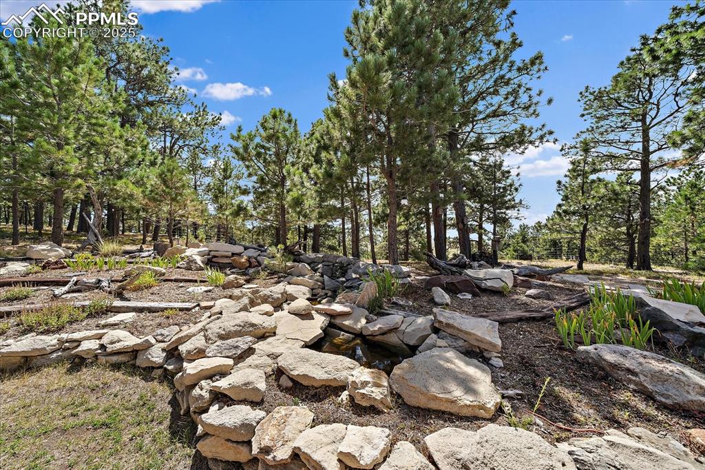 Image 31 of 50: View of yard with view of wooded area and a garden pond/ water feature