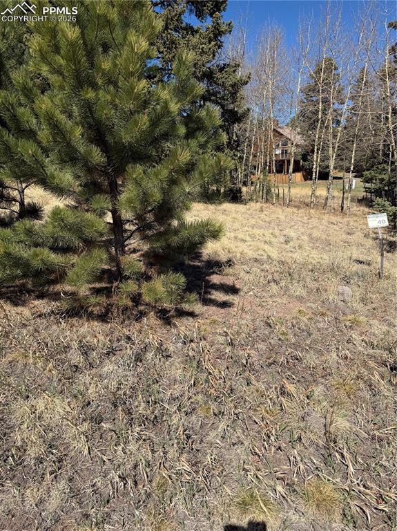 Image 3 of 9: Yard