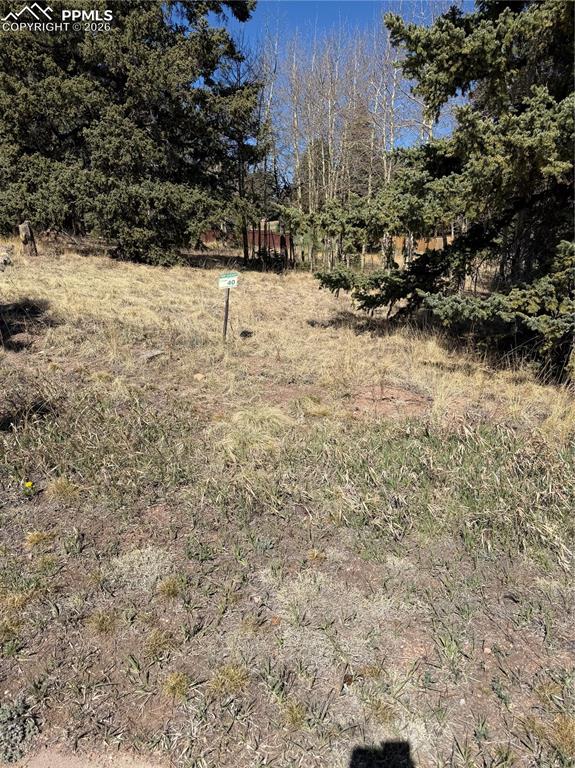 Image 8 of 9: Yard