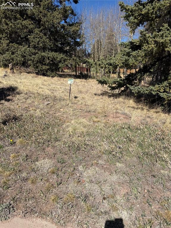 Image 9 of 9: Yard
