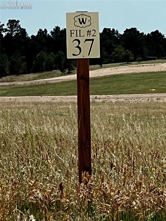 Image 14 of 20: Other