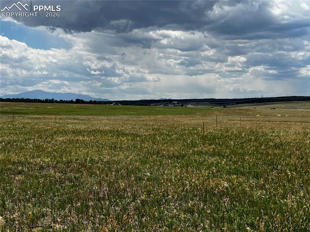 Image 17 of 20: Other