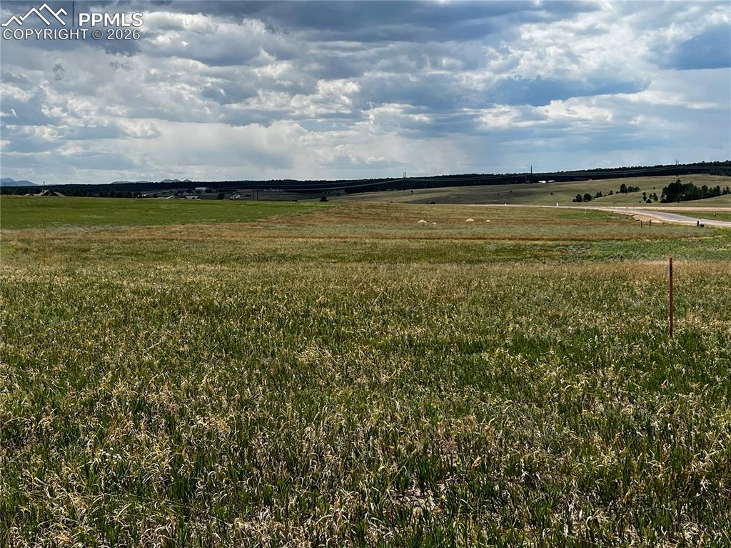 Image 18 of 20: Other