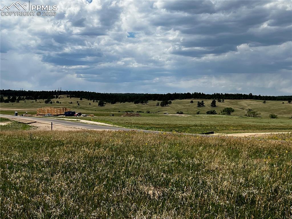 Image 20 of 20: Other