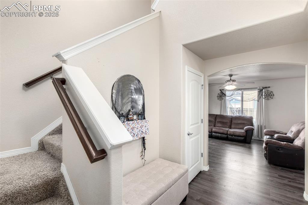 Image 4 of 32: Other