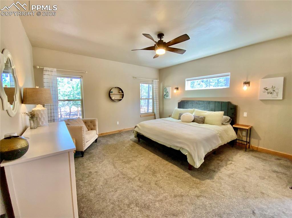 Image 13 of 47: Primary bedroom featuring multiple windows and a ceiling fan