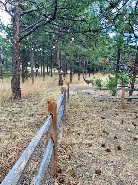 Image 47 of 47: String lights and deer hanging out in the backyard