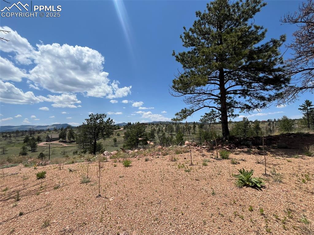 Image 10 of 33: Other