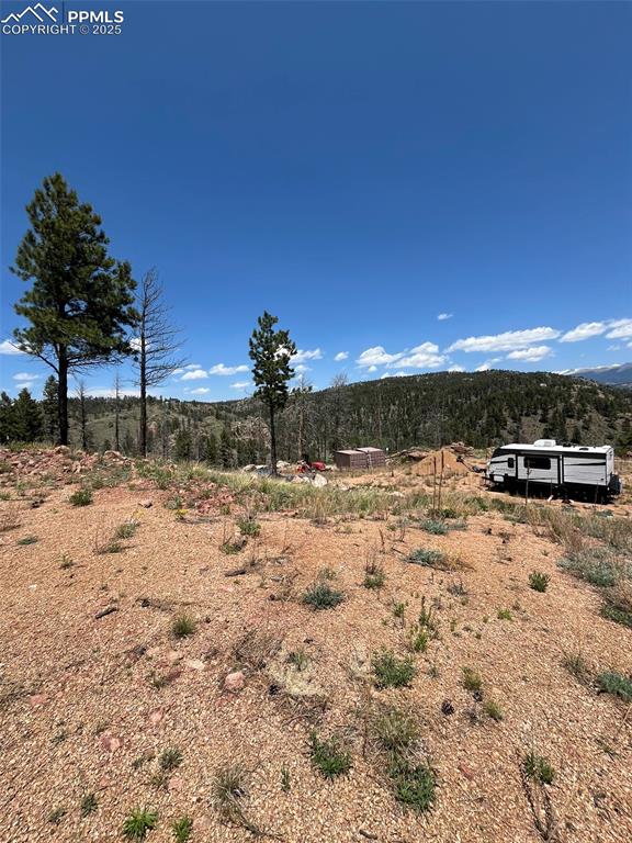 Image 11 of 33: Yard