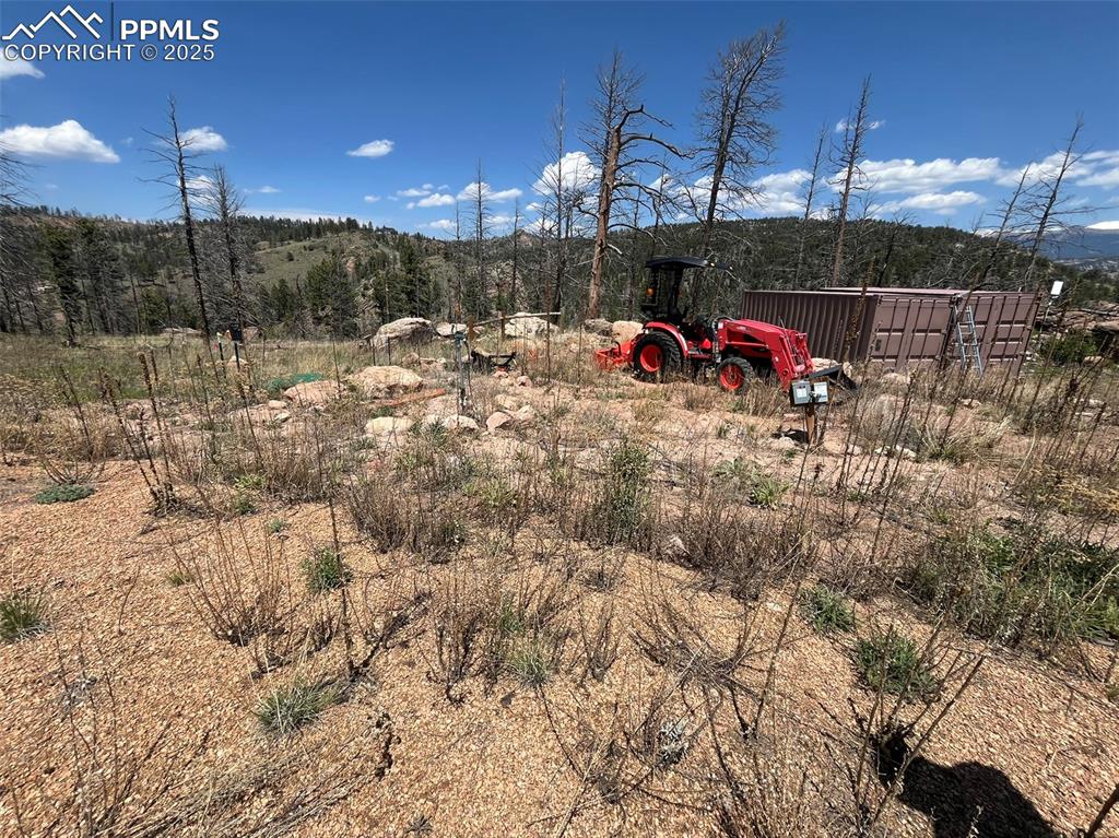 Image 17 of 33: Yard