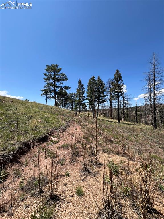 Image 18 of 33: Other