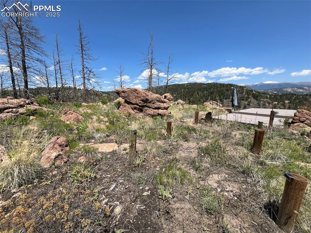 Image 21 of 33: View