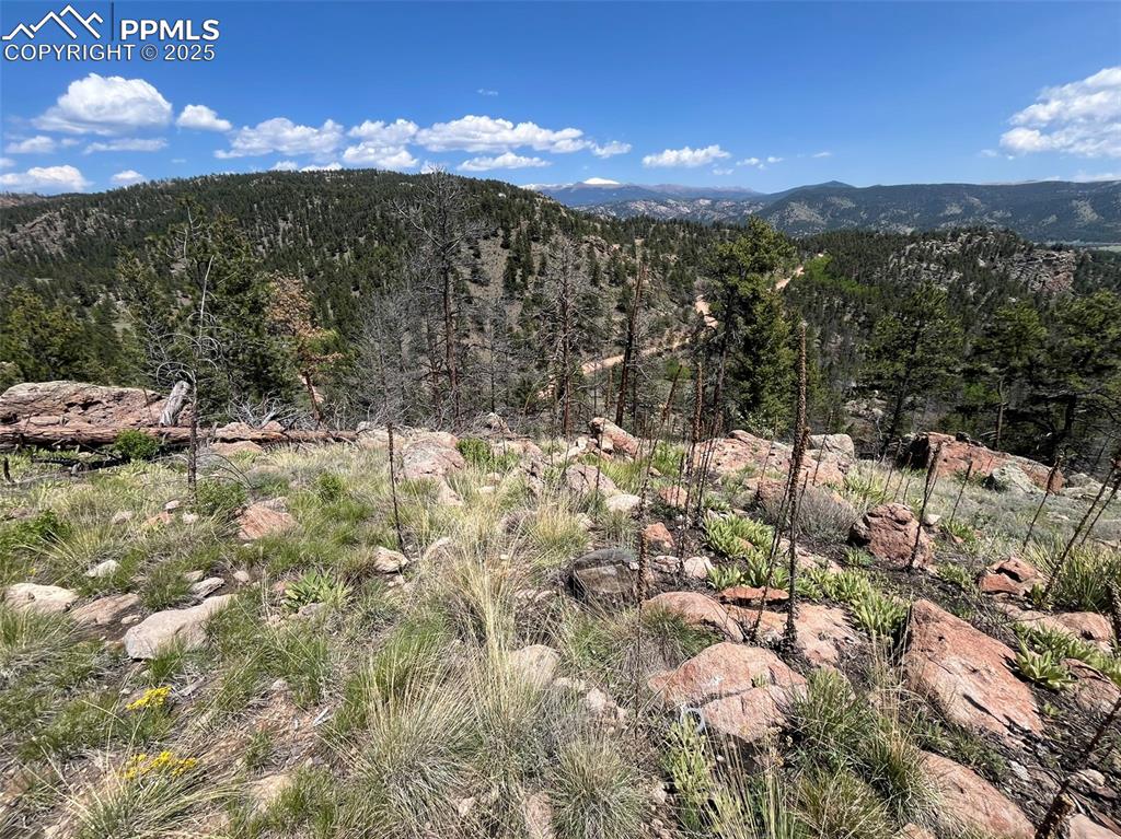 Image 22 of 33: View