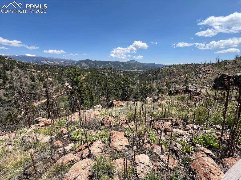 Image 23 of 33: View