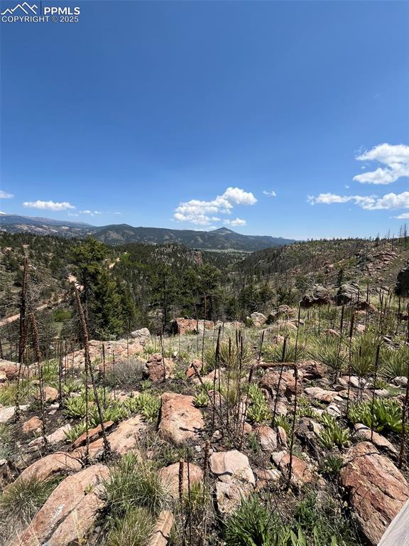 Image 26 of 33: View