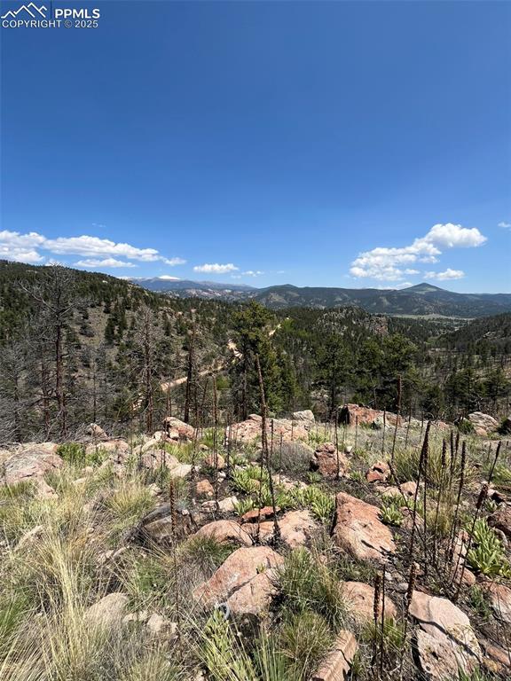 Image 27 of 33: View