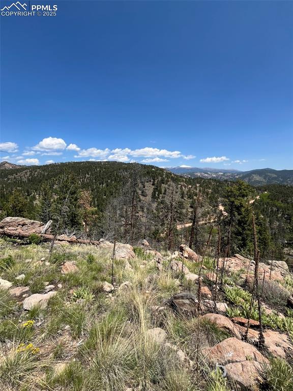 Image 28 of 33: View