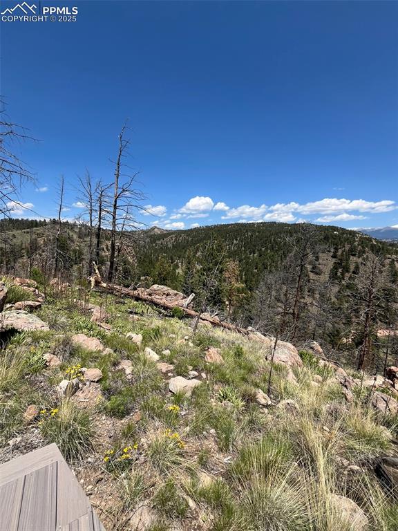 Image 29 of 33: View