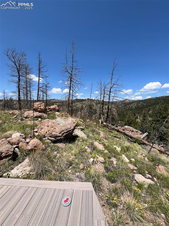 Image 30 of 33: Yard