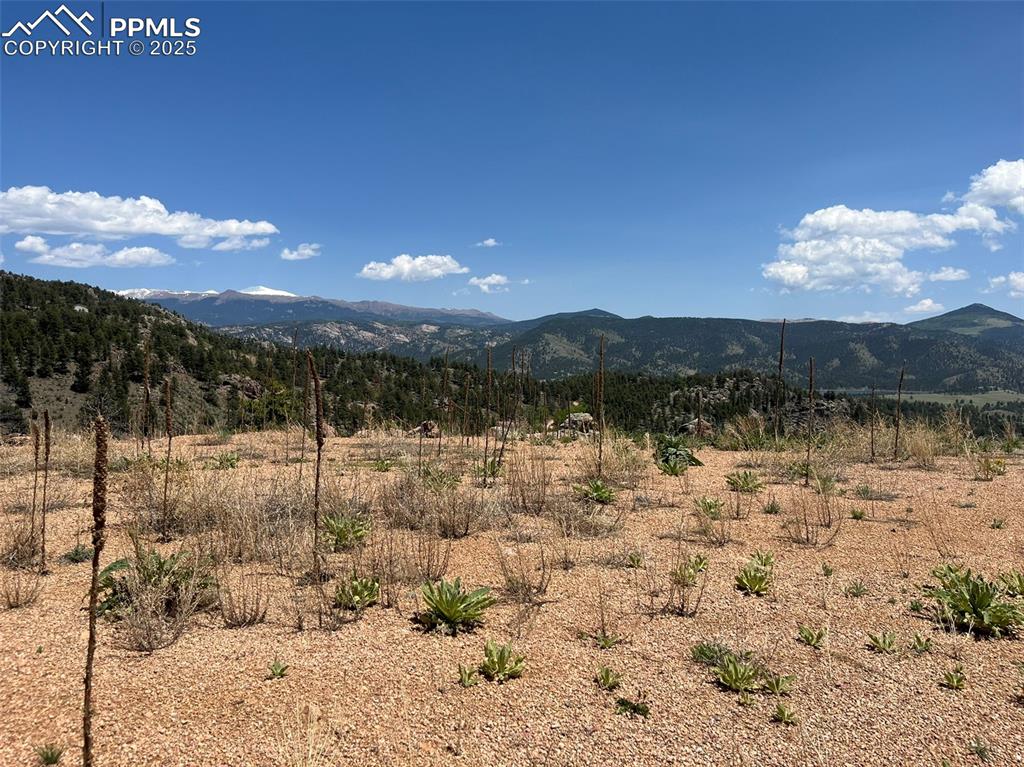 Image 32 of 33: View