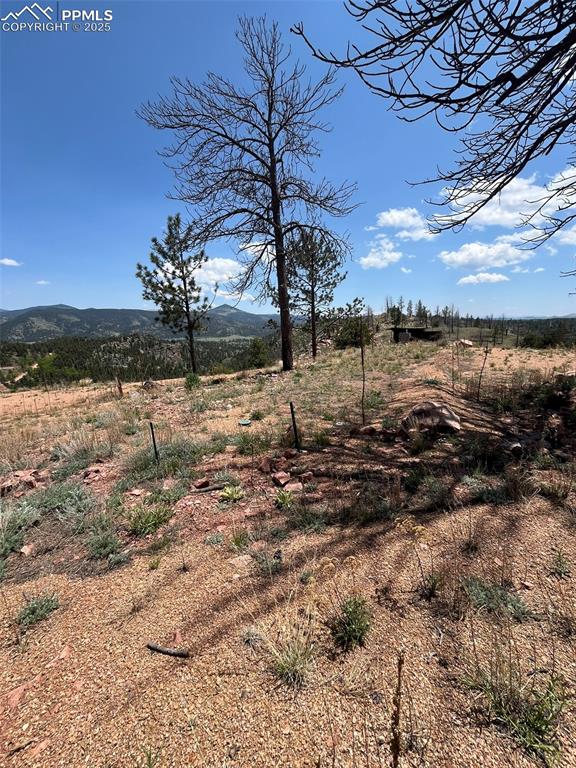 Image 6 of 33: Other