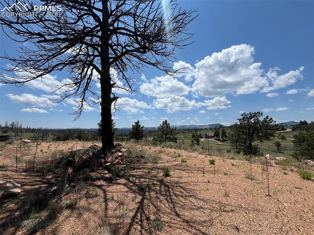 Image 8 of 33: Other