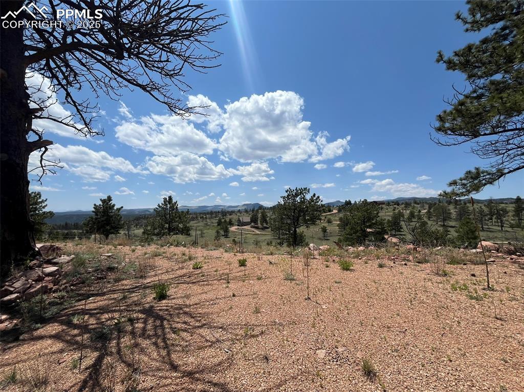 Image 9 of 33: Other