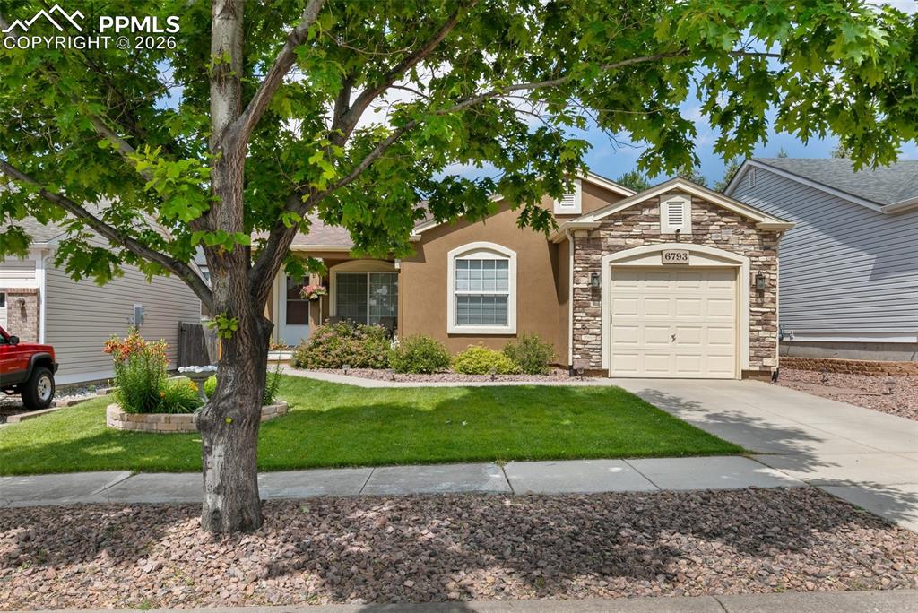 Image 3 of 43: Front of Structure