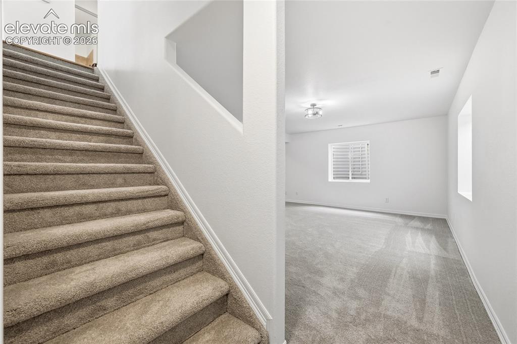 Image 14 of 30: Carpeted staircase with white trim, leading to an upper level with an open-