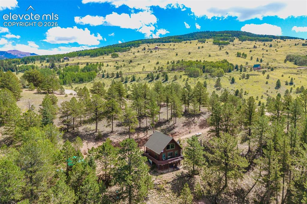 Image 19 of 50: Large private lot