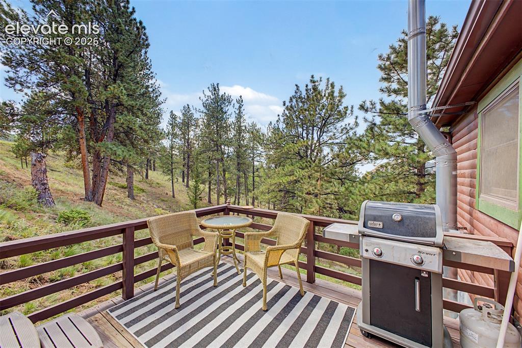 Image 45 of 50: Grilling with a view!
