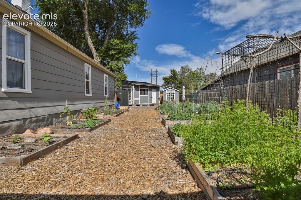 Image 44 of 49: Yard