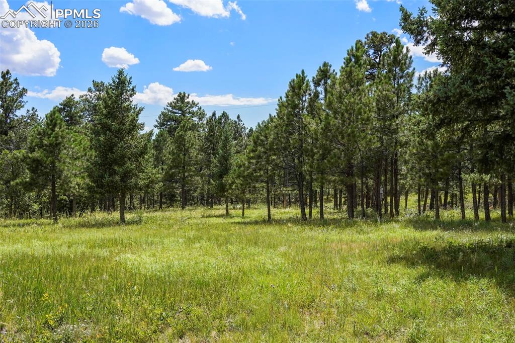 Image 10 of 16: Other