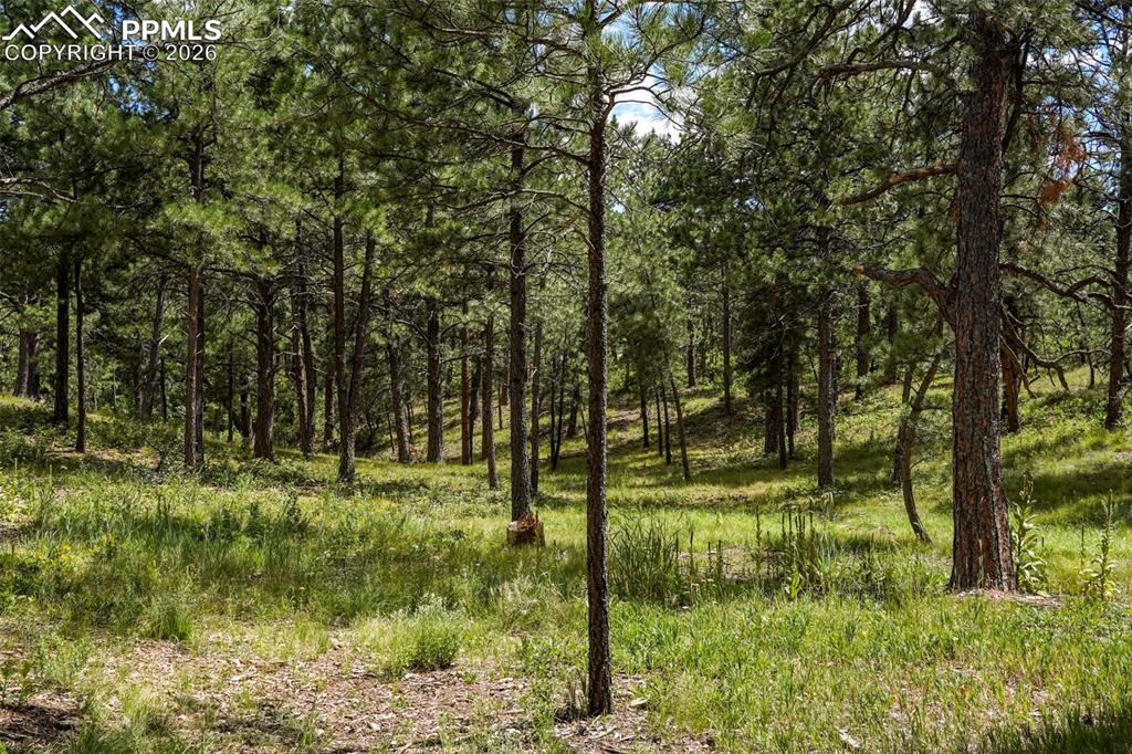 Image 11 of 16: Other